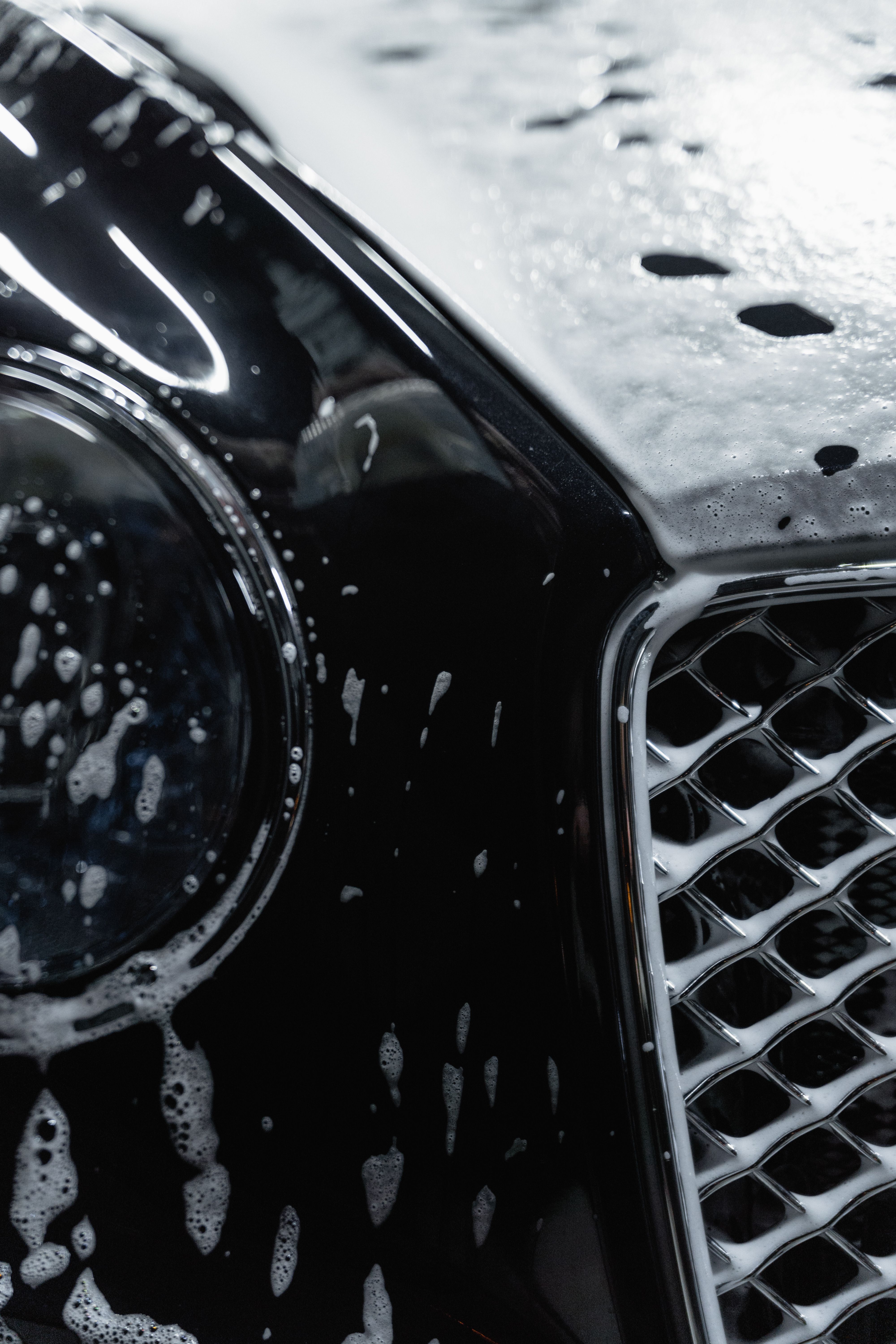 Professional automotive technician applying window tint